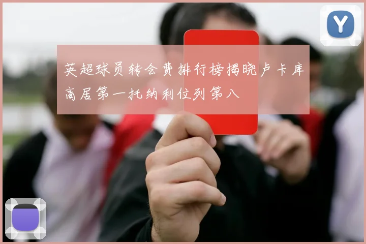 英超球员转会费排行榜揭晓卢卡库高居第一托纳利位列第八